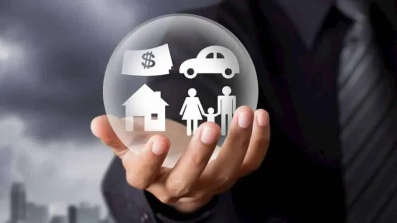 holding familiar e1652541418721